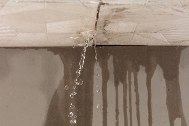 Professional Structural Drying technician working in New Ulm, TX